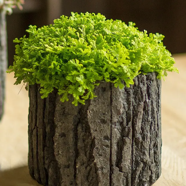 Round Concrete Pot with Bark Motif - Image 4